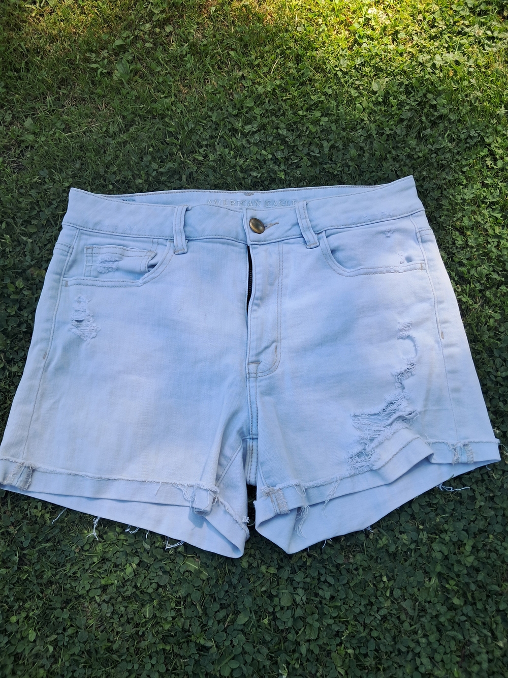 American Eagle Outfitters Light Wash Distressed Denim Shorts